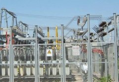 防潮悠悠香蕉香蕉网案例