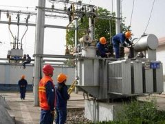 防潮悠悠香蕉香蕉网案例